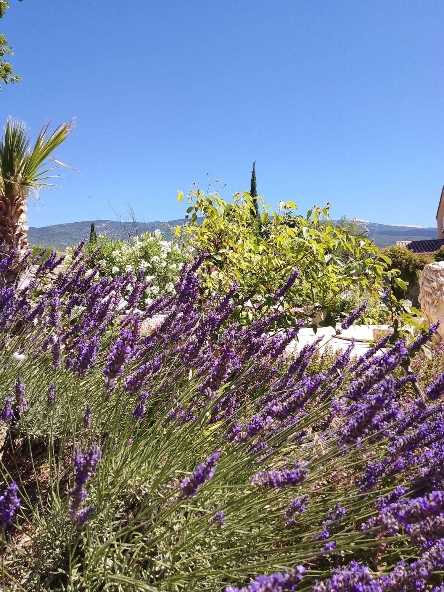 Les Gites Du Mont Ventoux Бедуэн Экстерьер фото